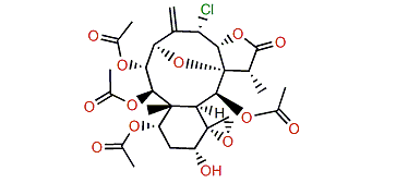 Fragilide K